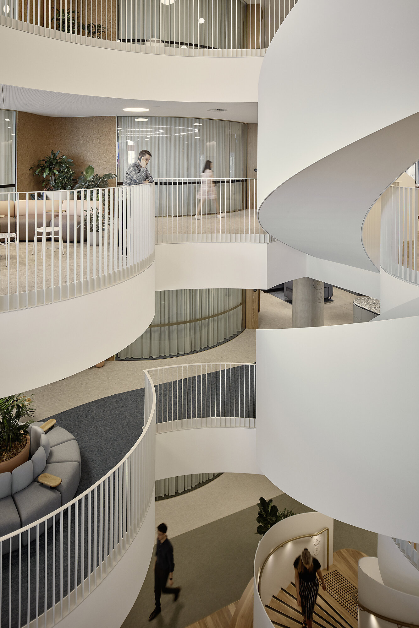 Suncorp HQ by Hassell | Australian Interior Design Awards