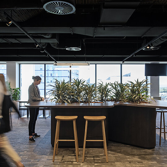 Interior photograph of CBA Adelaide by Nicole England